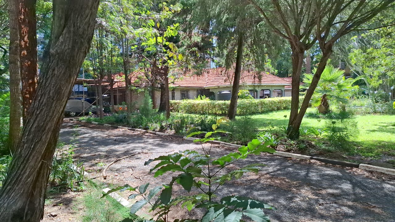 3/4 acre at Lavington, Kaptei Gardens