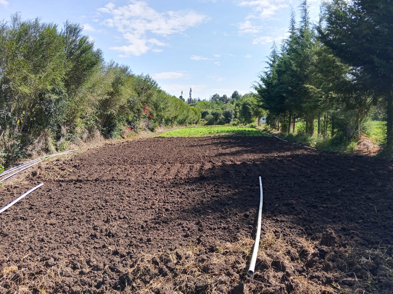 5 acres with river frontage in Nanyuki(Ragati)