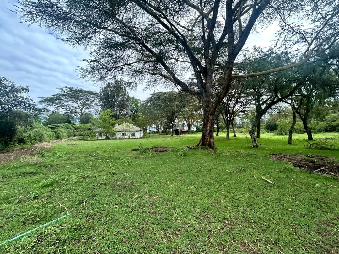 20 Acres Prime Land for Sale – Karen