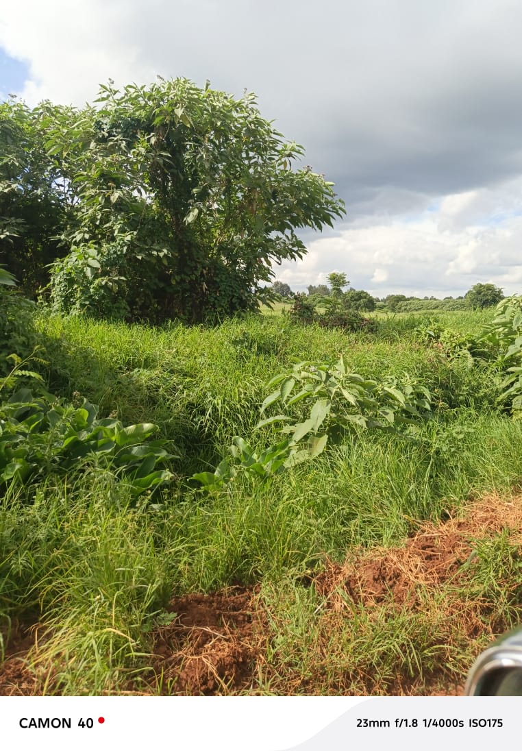 Prime Land for Sale – Runda Mumwe