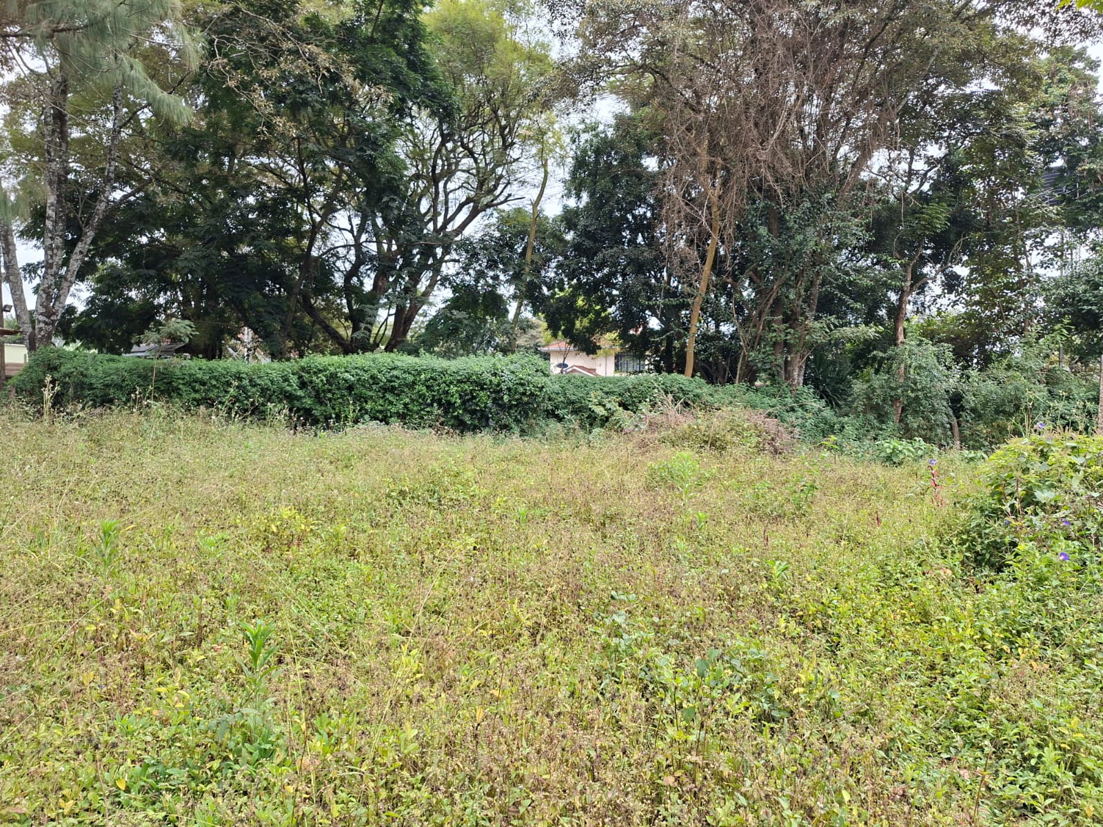 Property Summary – Karen (Hillcrest Close)